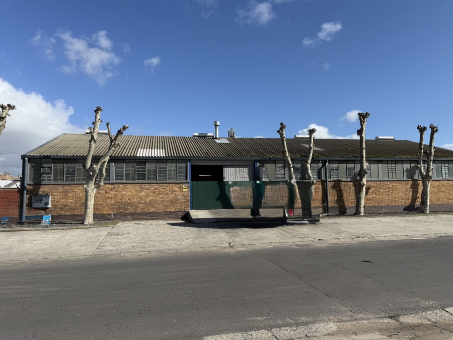 To Let commercial Property for Rent in Triangle Farm Western Cape